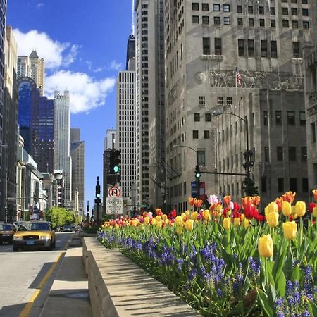 Luxurious Classic Gold Coast Villa For 12 Guests Chicago Luaran gambar